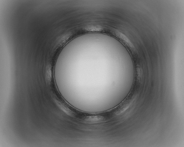 X0000111030541200907021540
