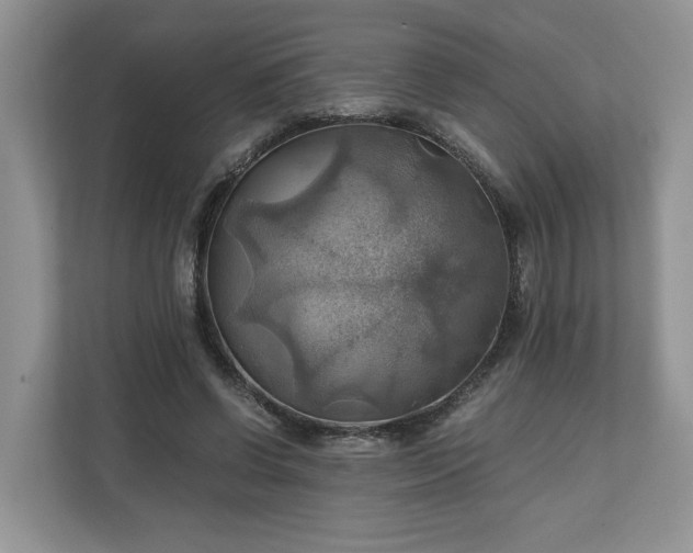 X0000111030542200907021540