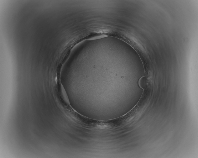 X0000111030547200907021540