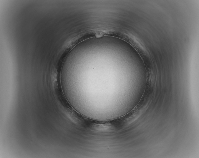 X0000111030548200907021540