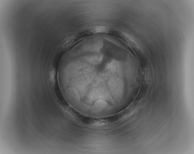 X0000111030550200907021540