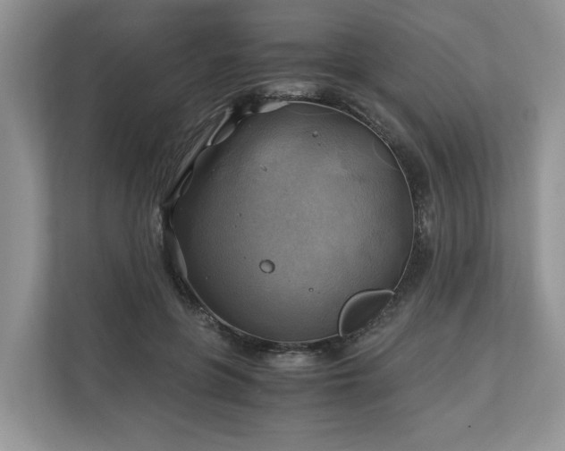 X0000111030551200907021540