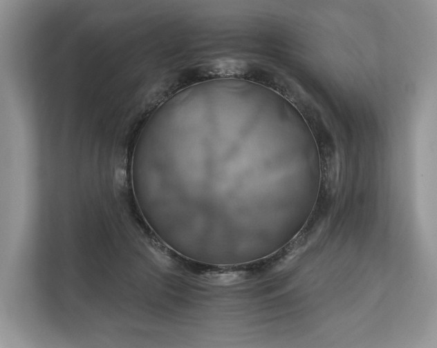 X0000111030553200907021540