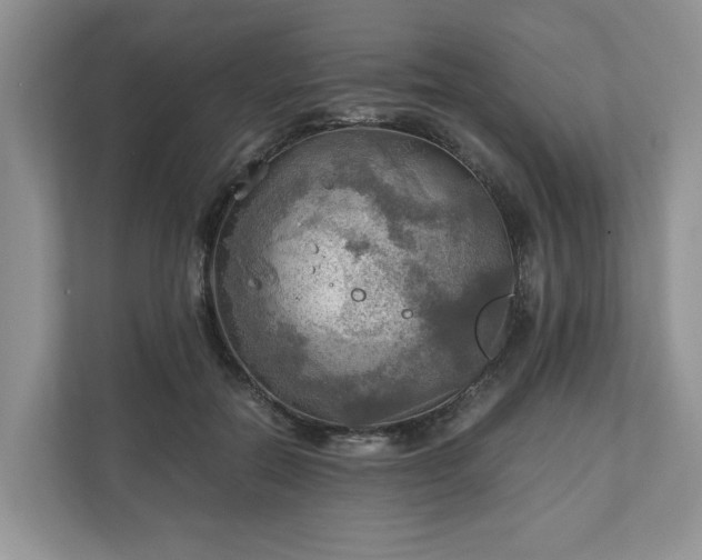X0000111030554200907021540