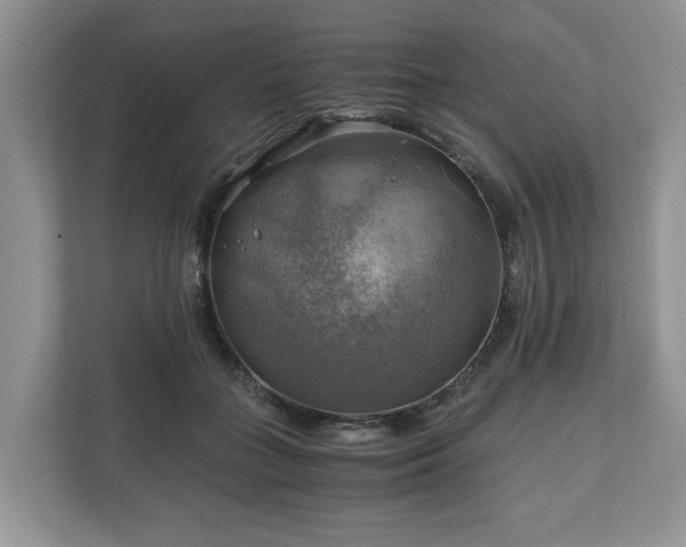 X0000111030555200907021540