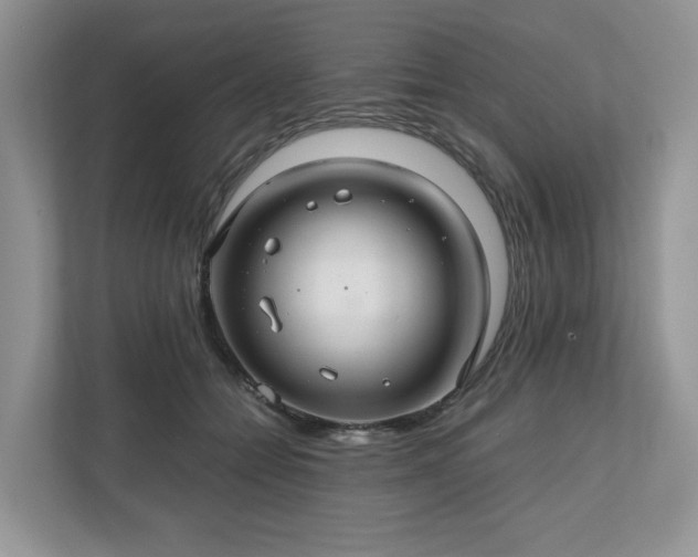 X0000111030558200907021540