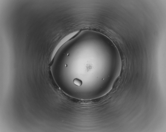X0000111030560200907021540