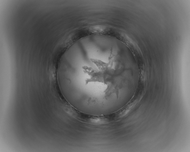 X0000111030561200907021540