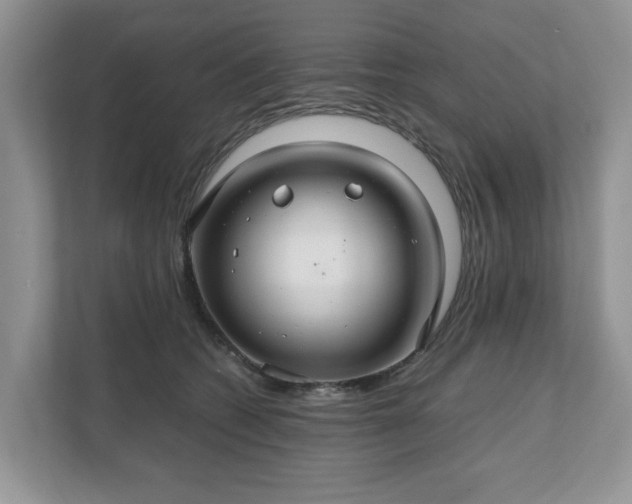 X0000111030562200907021540