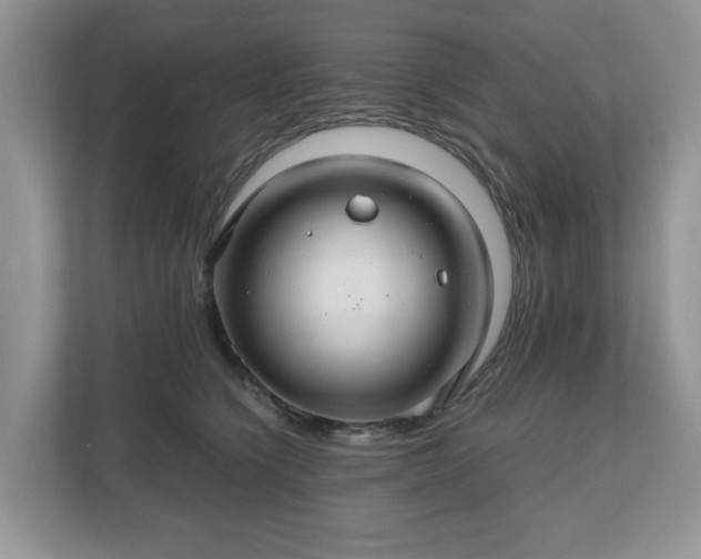 X0000111030564200907021540