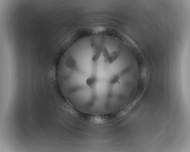 X0000111030565200907021540