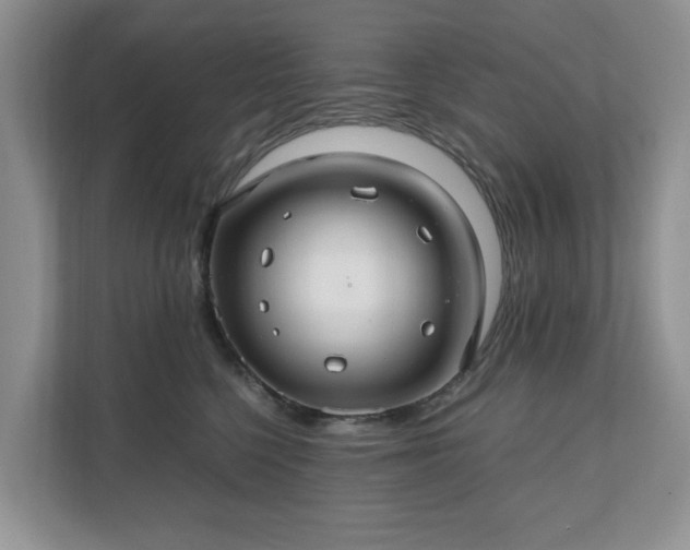 X0000111030568200907021540