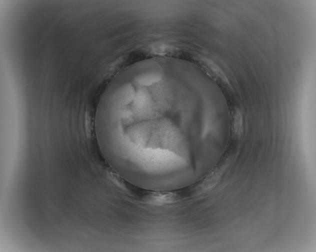 X0000111030569200907021540