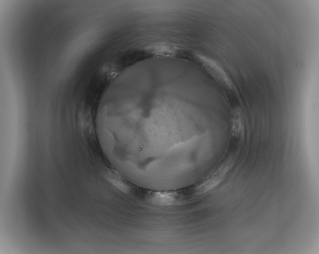 X0000111030573200907021540