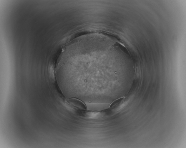 X0000111030575200907021540