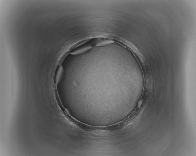 X0000111030577200907021540