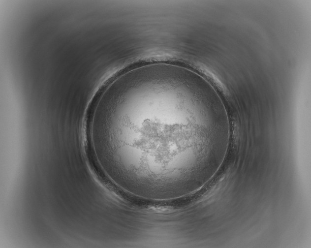 X0000111030582200907021540