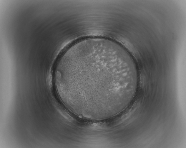 X0000111030584200907021540