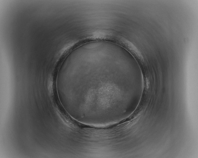 X0000111030588200907021540