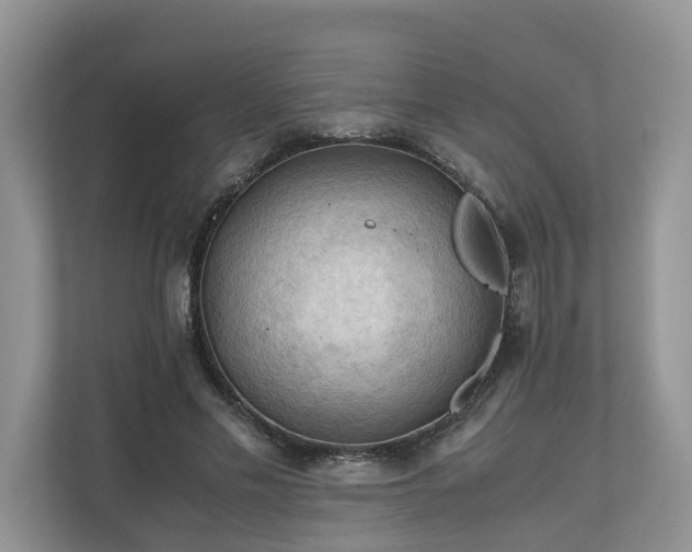 X0000111030589200907021540