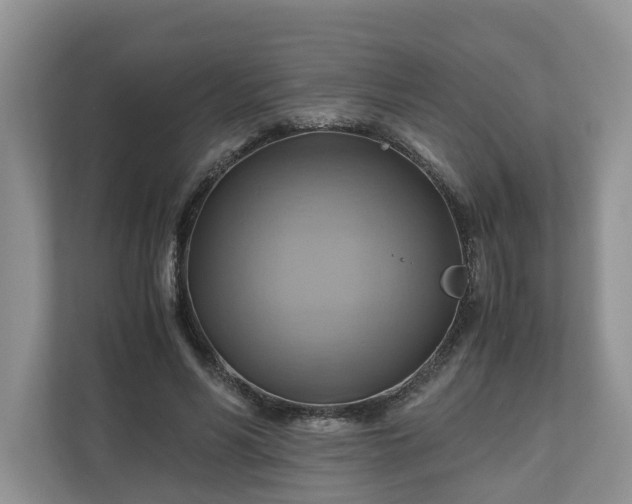X0000111030590200907021540