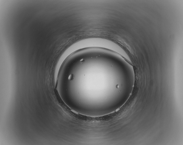 X0000111030593200907021540