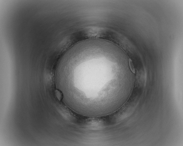 X0000111030601200907021540