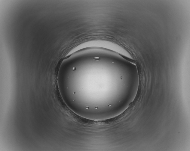 X0000111030609200907021539