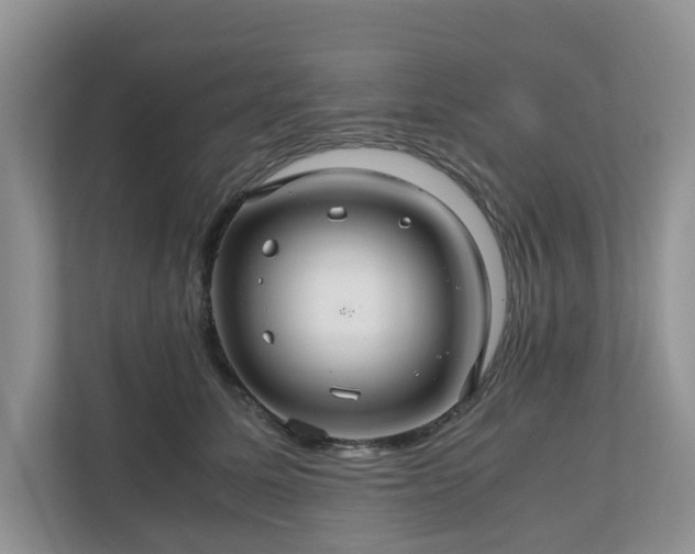 X0000111030611200907021539