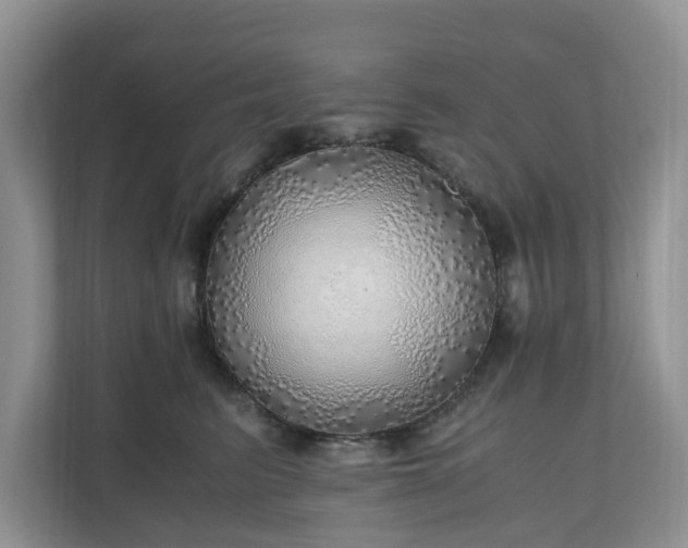 X0000111030615200907021539