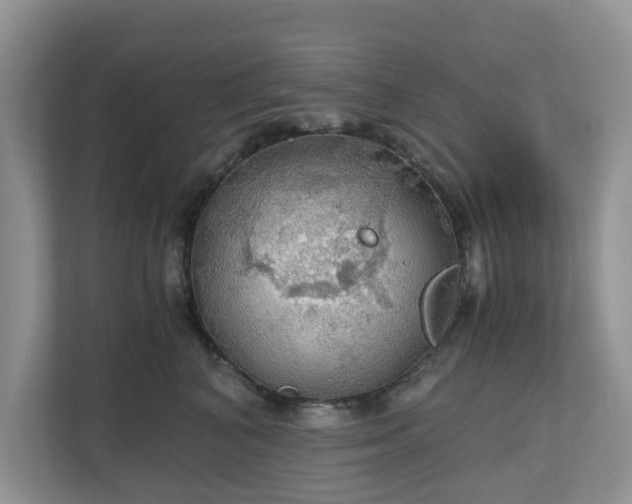 X0000111030616200907021539