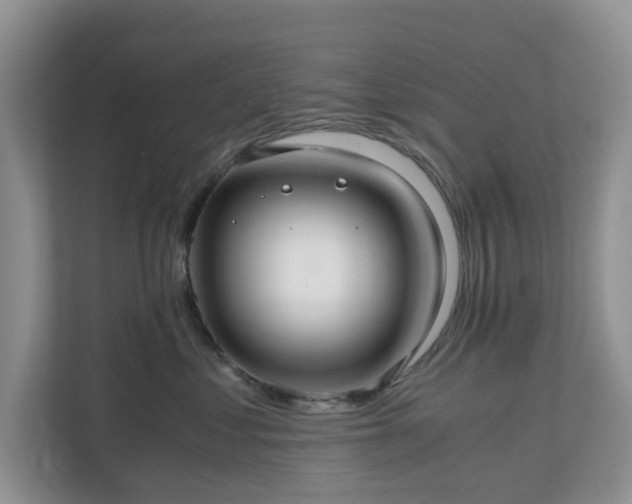 X0000111030621200907021539