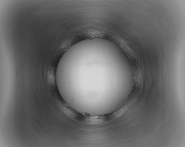 X0000111030622200907021539