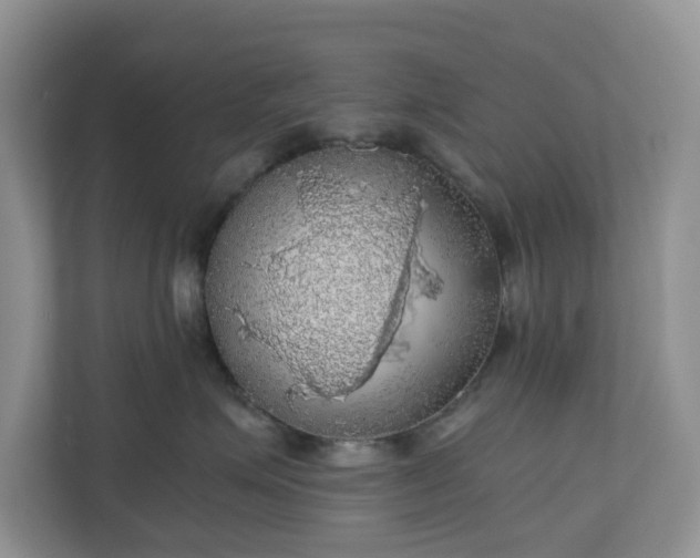 X0000111030623200907021539