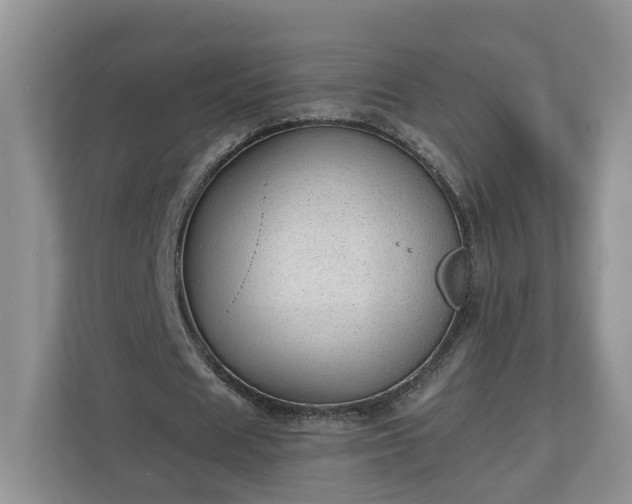 X0000111030625200907021539
