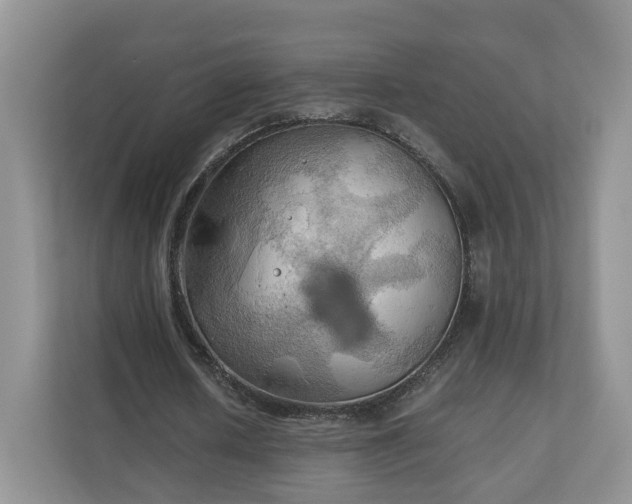 X0000111030626200907021539