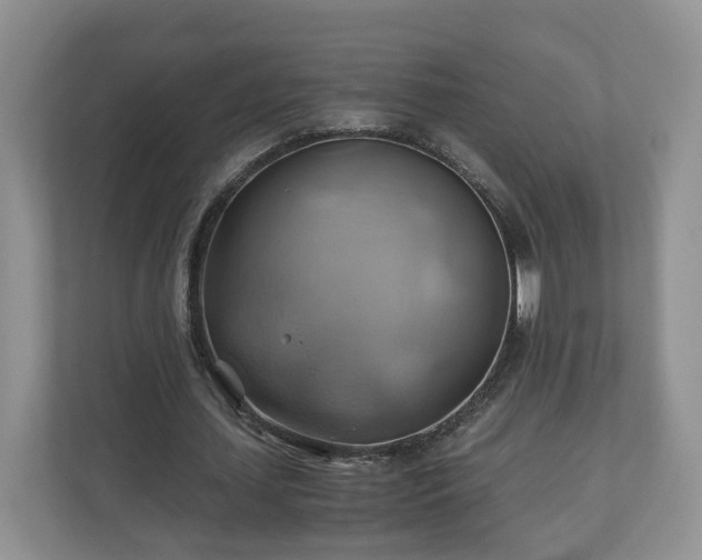 X0000111030627200907021539