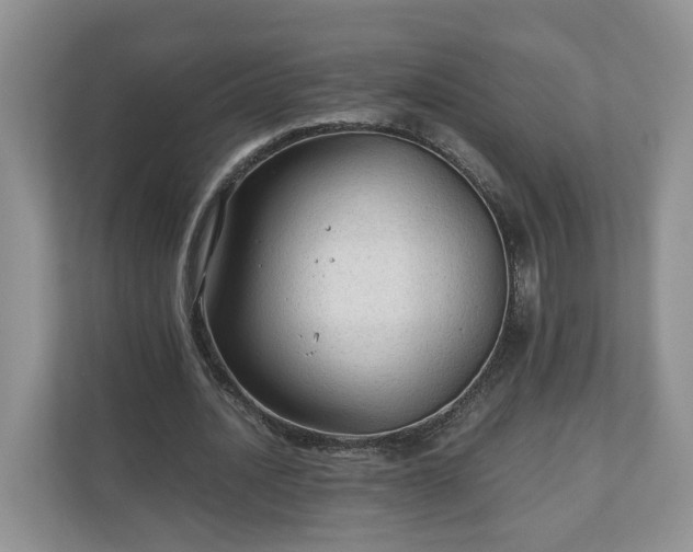X0000111030628200907021539