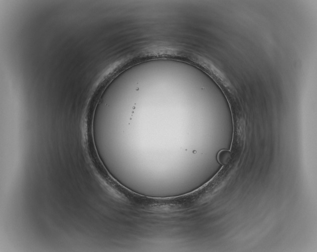 X0000111030629200907021539
