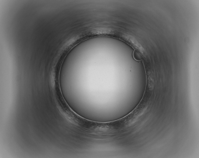 X0000111030631200907021539