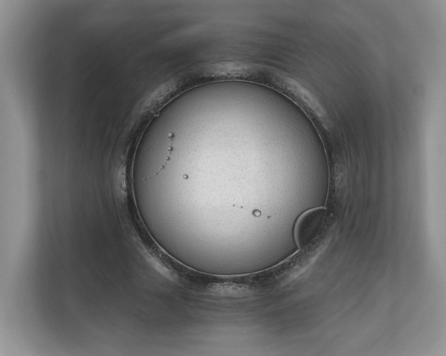 X0000111030633200907021539