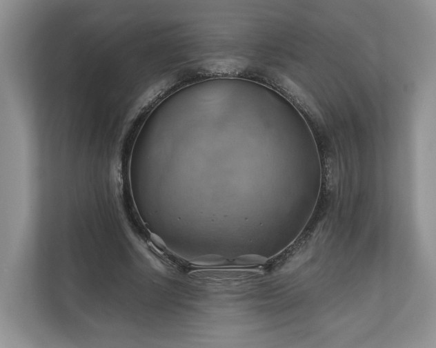 X0000111030634200907021539