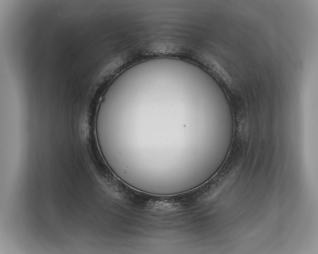 X0000111030635200907021539