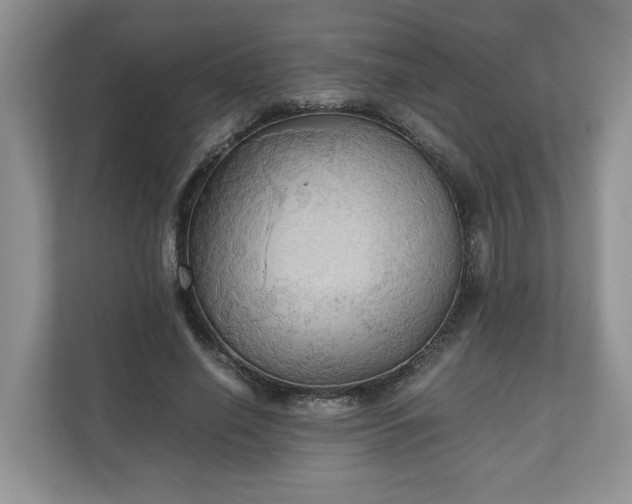 X0000111030638200907021539