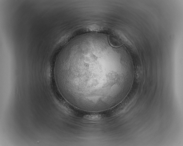 X0000111030639200907021539