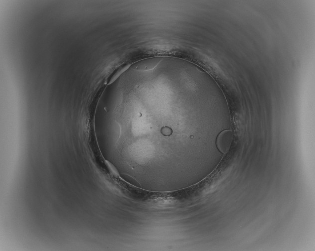 X0000111030642200907021539