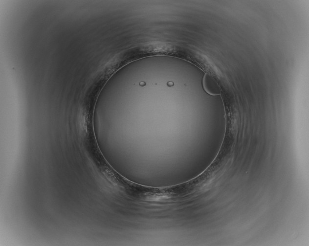 X0000111030643200907021539