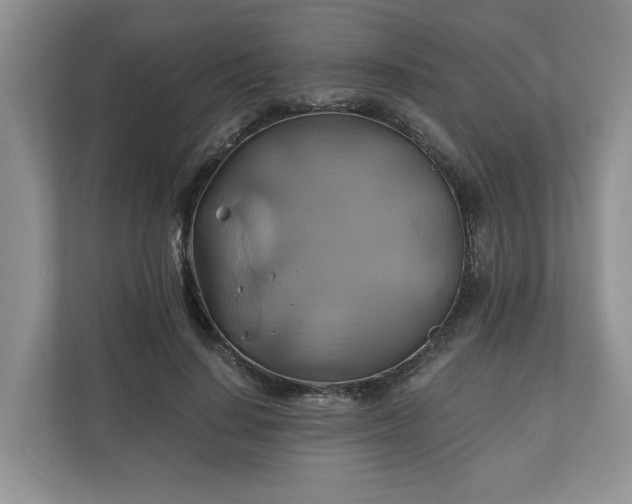 X0000111030644200907021539
