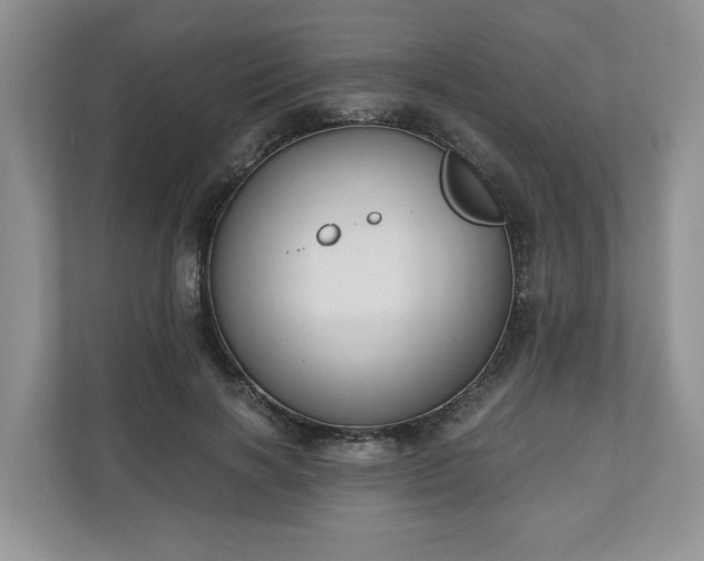 X0000111030646200907021539