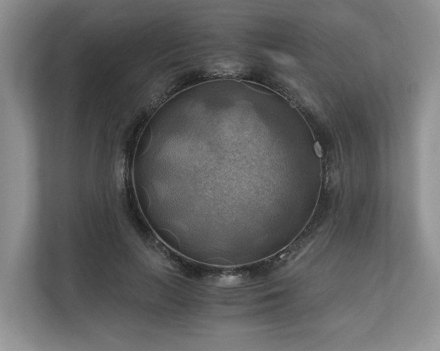 X0000111030647200907021539
